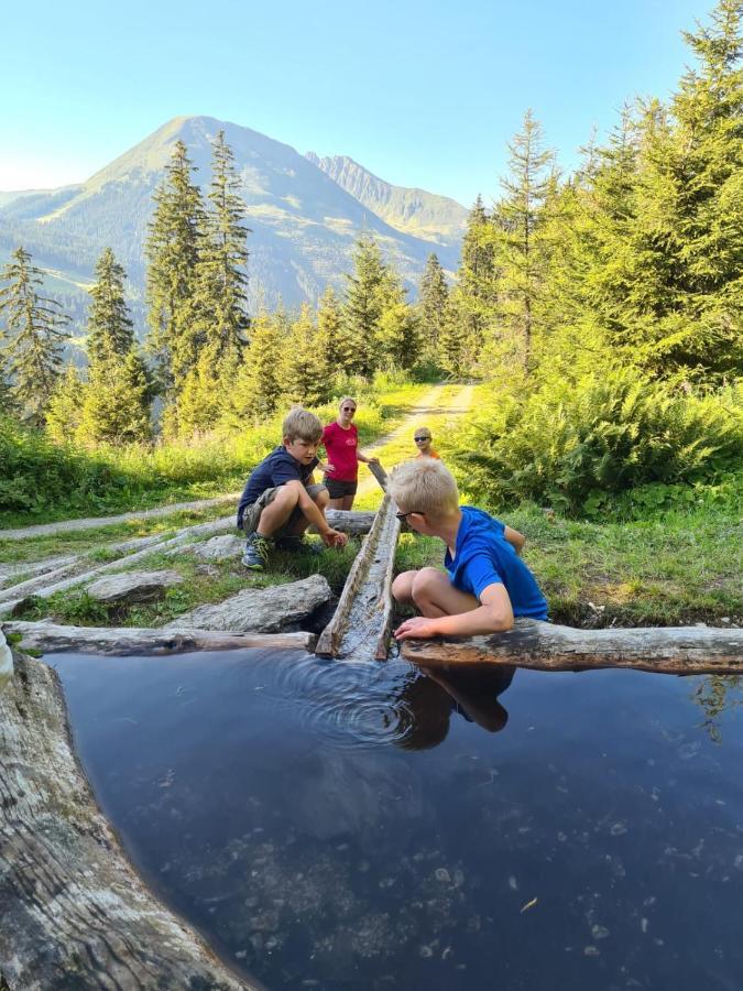 Brixnerhof Im Zillertal Schlitters