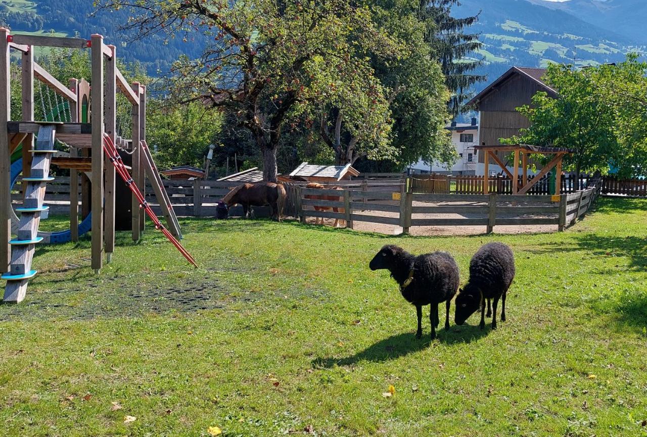 Pensión Brixnerhof Im Zillertal 3*