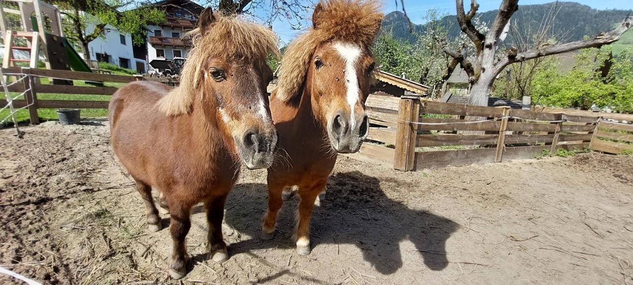 Brixnerhof Im Zillertal 3*