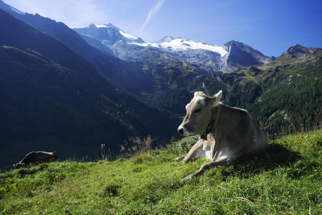 Brixnerhof Im Zillertal 3*